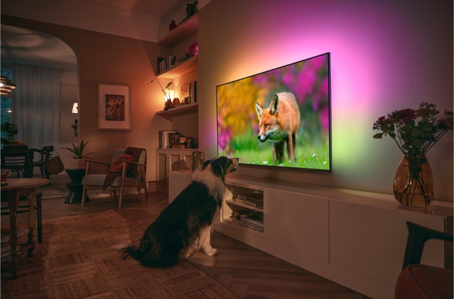 Philips 50PUS8518/12 The One Fernseher 4K UltraHD 127cm 