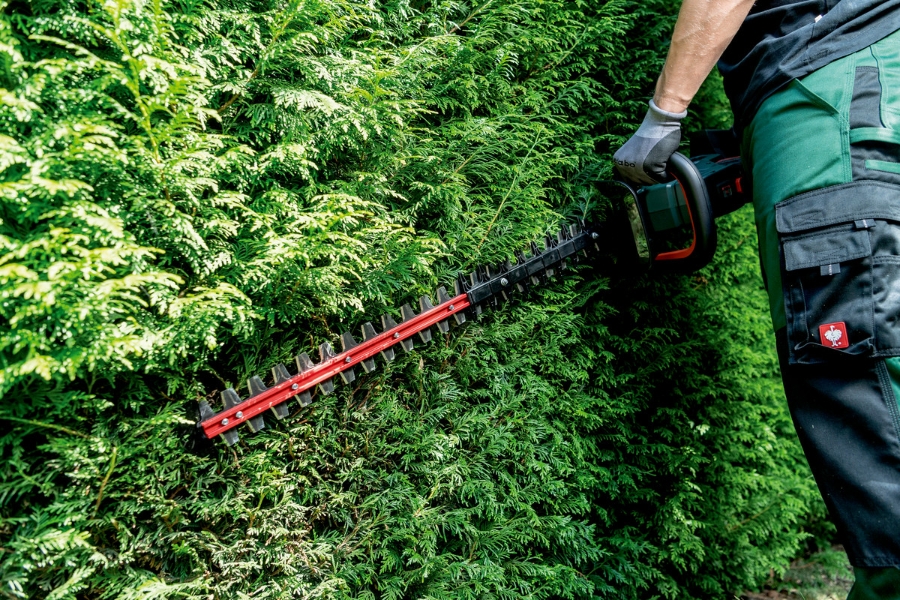 Metabo HS 18 LTX BL 65 - Heckenschere - schnurlos 