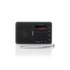 RDFM2100GY FM-Radio Tragbar Batteriebetrieben / Netzstromversorgung